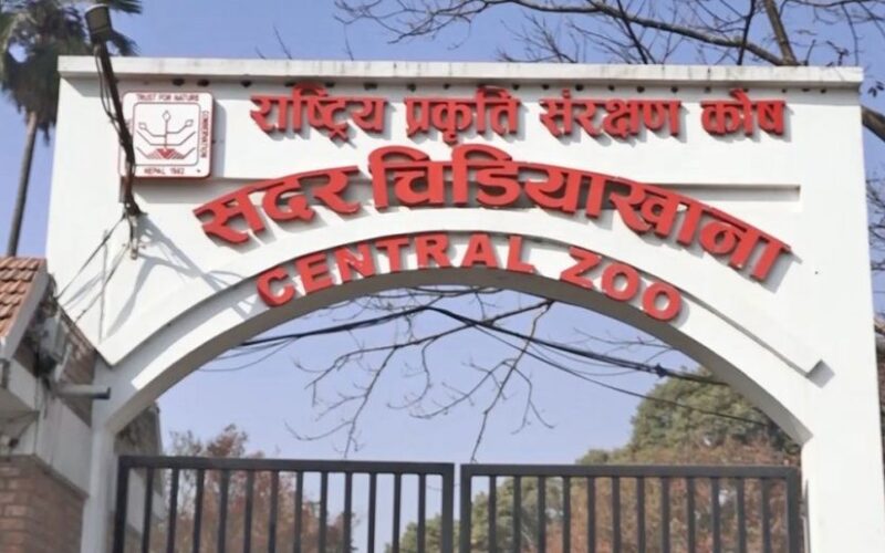 चिडियाखानामा बर्डफ्लु देखिएपछि आगन्तुक प्रवेश बन्द