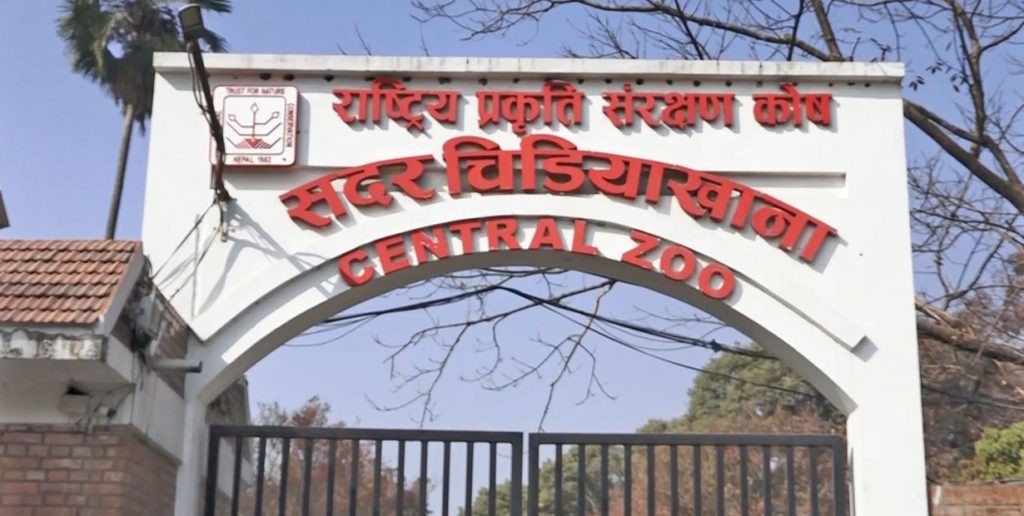 चिडियाखानामा बर्डफ्लु देखिएपछि आगन्तुक प्रवेश बन्द