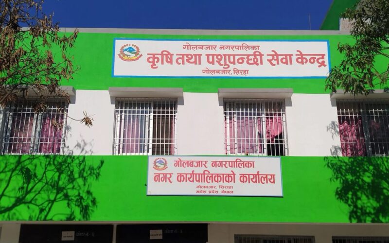 गोलबजार नगरपालिकाको राजस्व अनियमितता प्रकरणमा ६ जनाविरुद्ध मुद्दा
