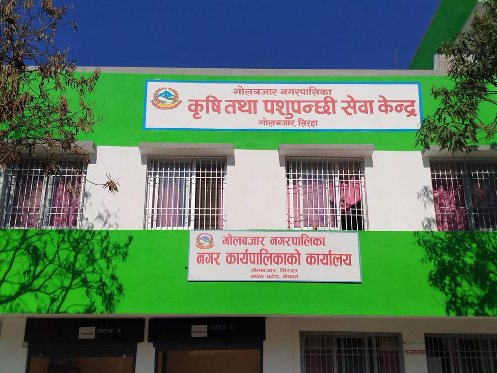गोलबजार नगरपालिकाको राजस्व अनियमितता प्रकरणमा ६ जनाविरुद्ध मुद्दा