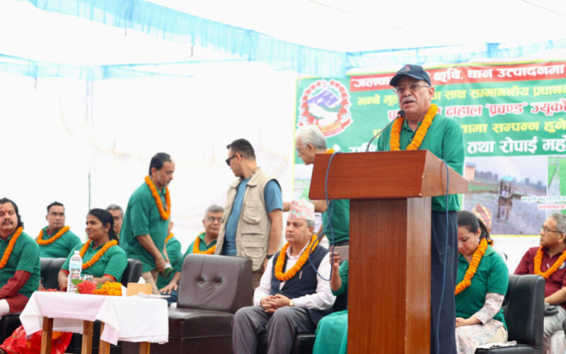 देशलाई धानसँगै खाद्यान्नमा पनि आत्मनिर्भर बनाउन सरकार लागिपरेको छ : प्रधानमन्त्री पुष्पकमल दाहाल