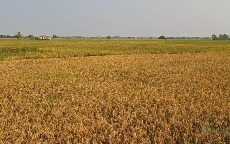 कृषि उद्योग विस्तारका लागि मधेशमा नयाँ परियोजना प्रस्ताव