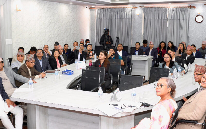 अब संवैधानिक मुद्दा अनलाइनबाटै हेर्न सकिने