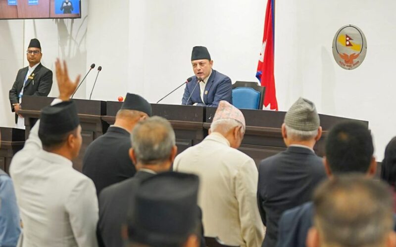 प्रतिनिधि सभा बैठक बिहान ११ बजे बस्दै